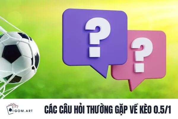 Các câu hỏi thường gặp về kèo 0.5/1