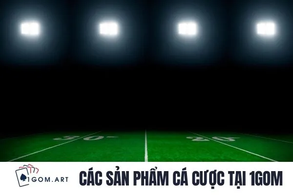 Các sản phẩm cá cược tại 1gom