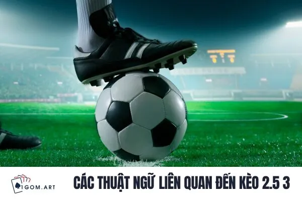 Các thuật ngữ liên quan đến kèo 2.5 3