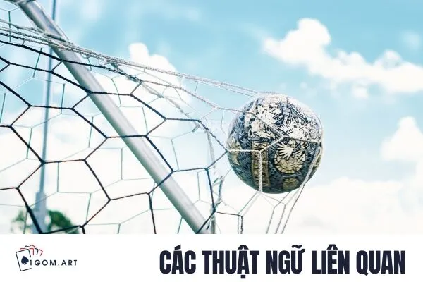 Các thuật ngữ liên quan