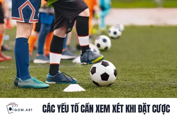 Các yếu tố cần xem xét khi đặt cược