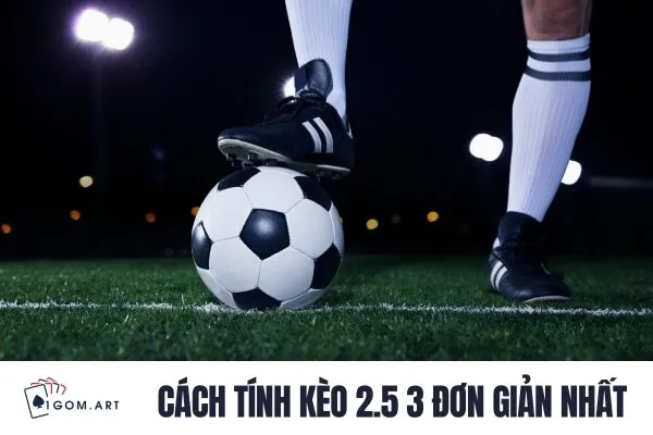 Cách tính kèo 2.5 3 đơn giản nhất