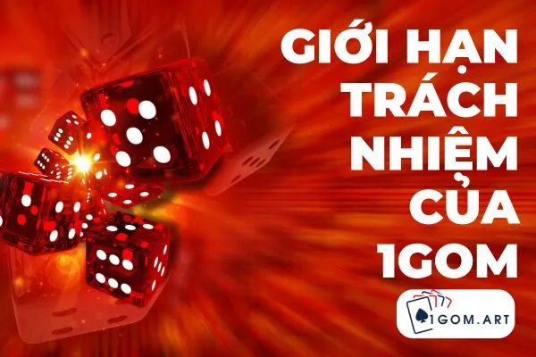 Giới hạn trách nhiệm của 1gom