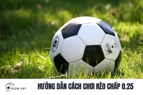 Hướng dẫn cách chơi kèo chấp 0.25